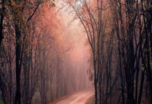 华体会官网：兰德尔20分哈登8中1 森林狼终结快船主场9连胜.