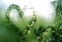 “WTT重庆冠军赛:中国队提前锁定男女单打冠军”.